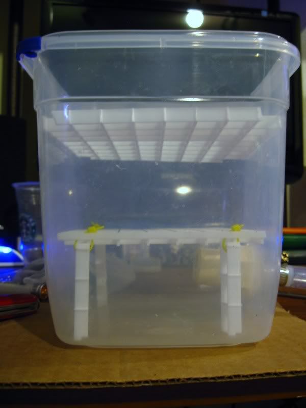 DIY canister filter The Planted Tank Forum